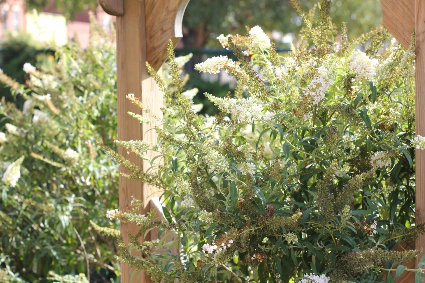 Blumenarrangement in der Praxis – ein Arbeitsplatz mit frischen Blumen und Werkzeugen