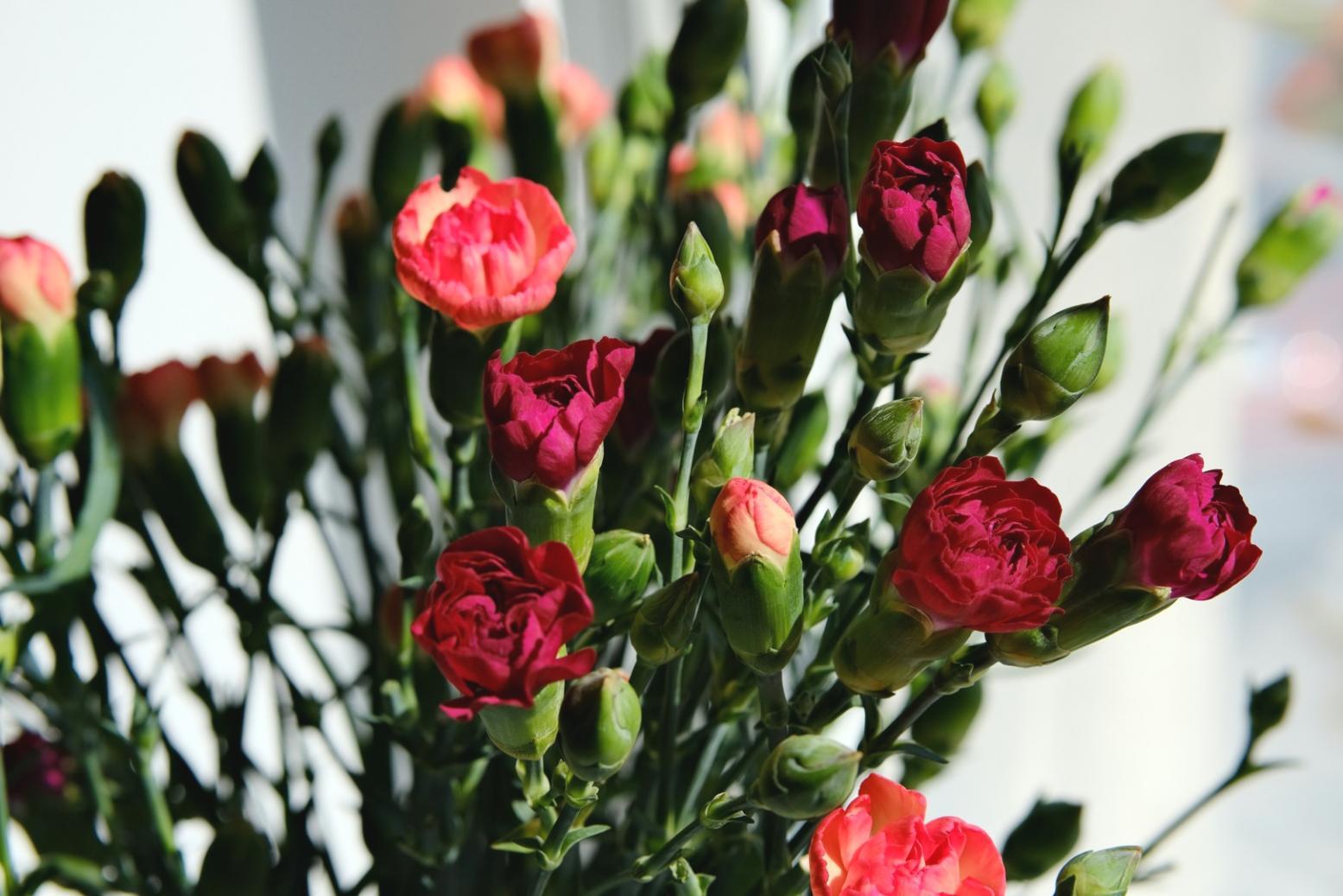 Fertige Blumenarrangements als Ergebnis unserer Kurse