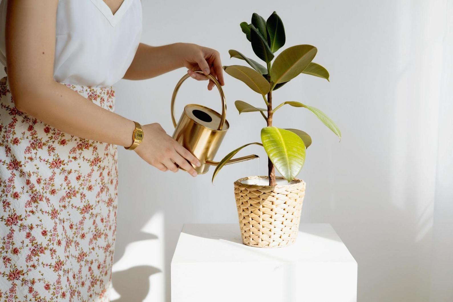 Verschiedene Blumenarten in der Komposition