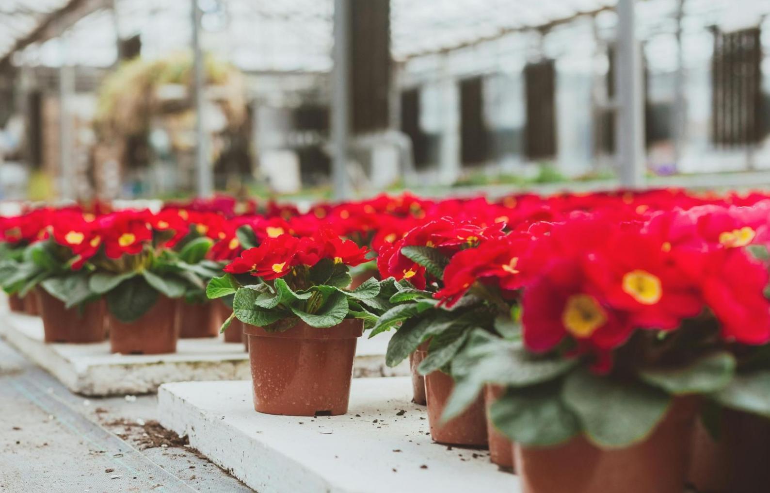 Praktische Beispiele aus unseren Kursen