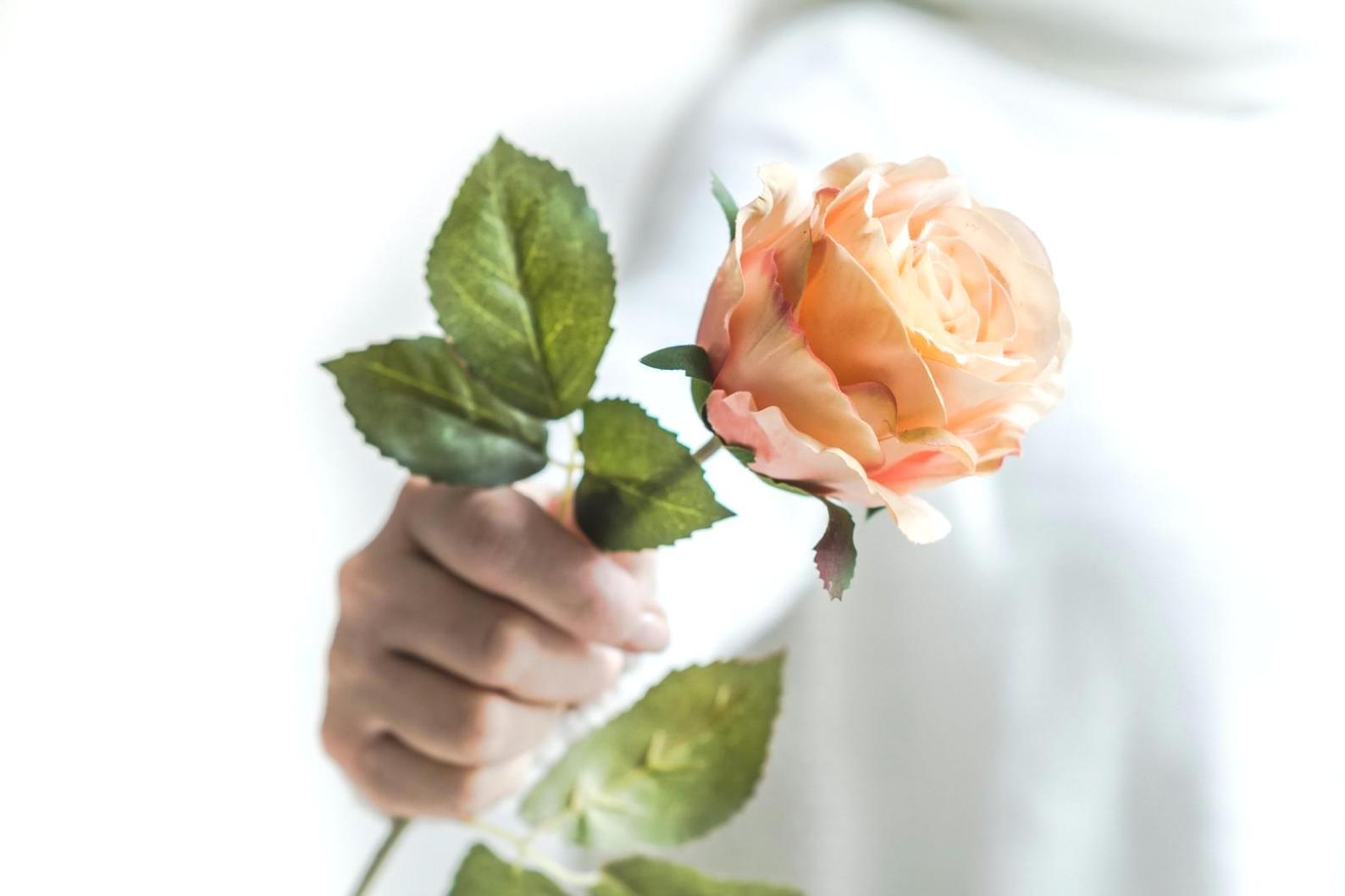 Verschiedene saisonale Blumenarrangements in unterschiedlichen Stilrichtungen und Gefäßen